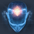 BrainChip Holdings Ltd