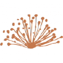 Caravel Minerals Limited logo