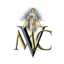 Venus Metals Corporation Limited logo